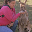 Natalie, Mama Roo, and Joey - Hobart, Australia