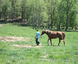 April 2010 015