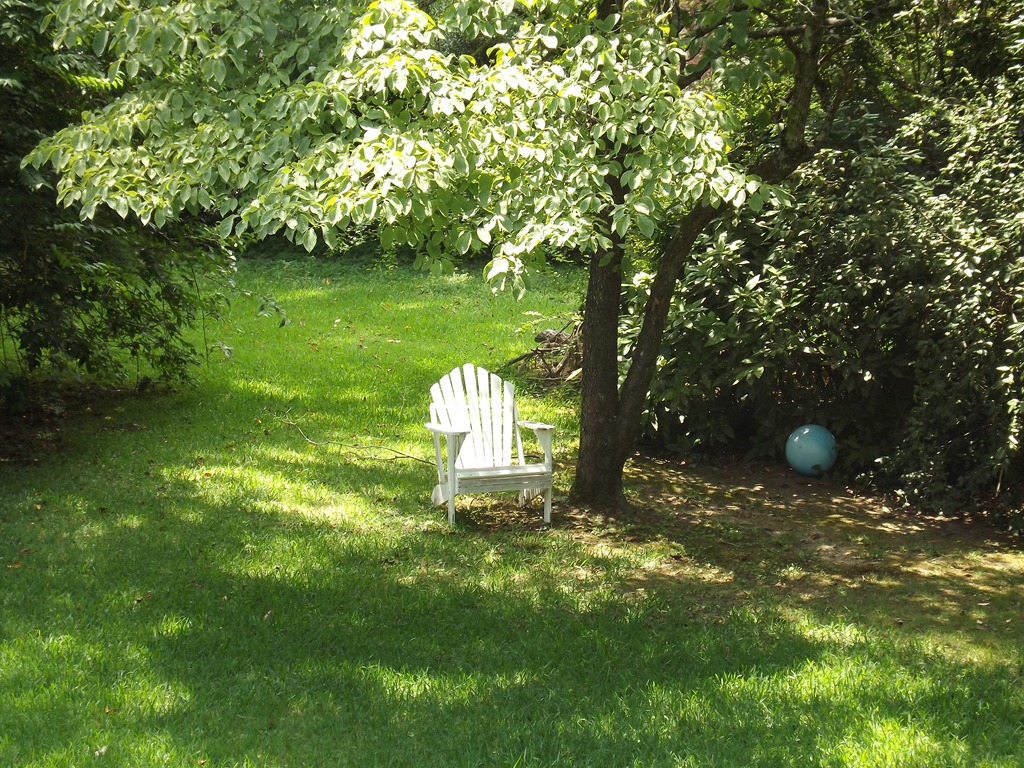 [DSCF0705%255B5%255D.jpg]