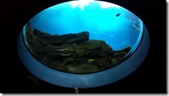 2012-07-16_13-00-57_637 2012-07-16_13-00-57_637