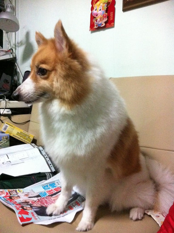 [IMG_6678%255B3%255D.jpg]