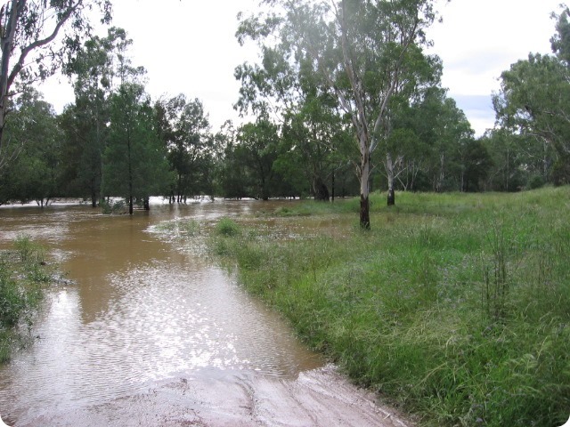 Gwydir River Campground - the flood develops - Taken by Mal & Kerry