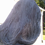IMG_20120916_102721.jpg