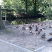 IMAG0288.jpg