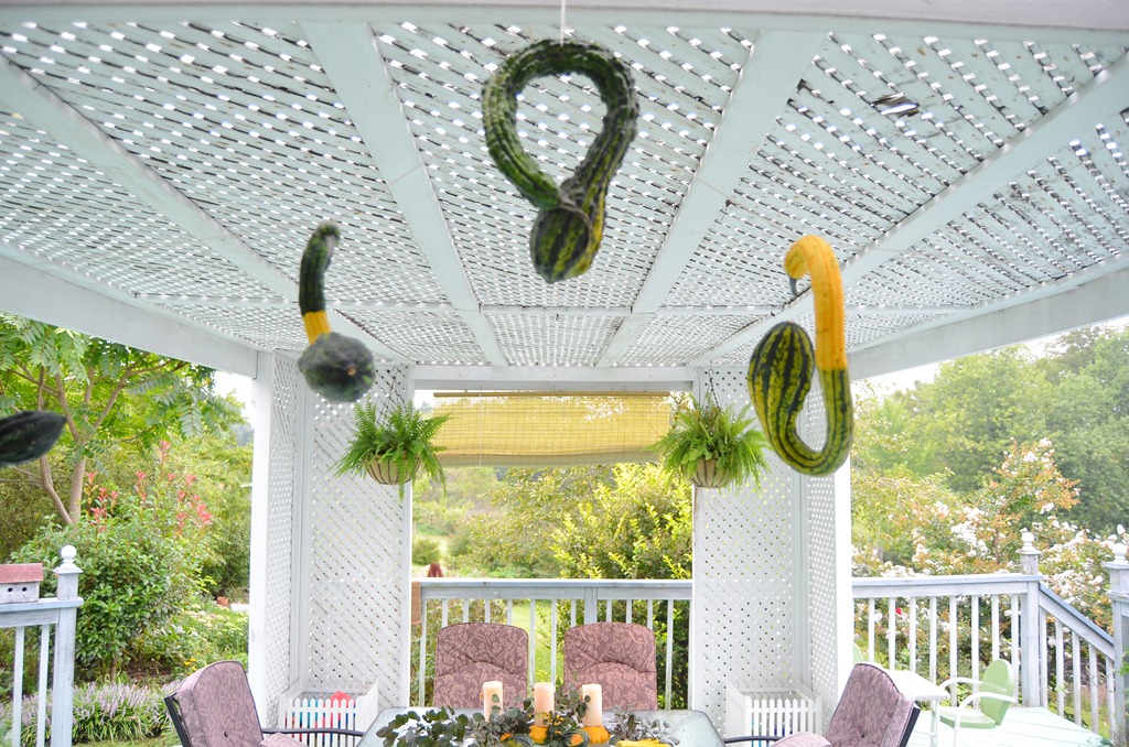 [houzz%2520porch%2520with%2520garland%2520amy%2520renea%2520a%2520nest%2520for%2520all%2520seasons%255B7%255D.jpg]