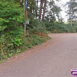 Aalten, zwembad 2014, foto 22.jpg