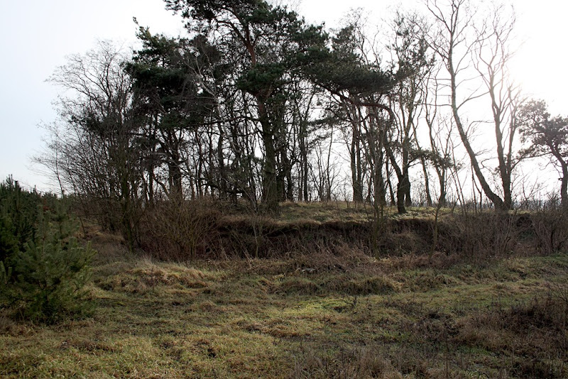 IMG_2643 IMG_2643