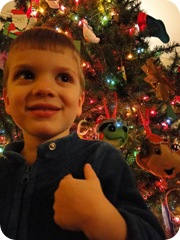 Decorating the Christmas Tree