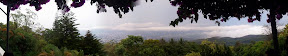 2011-04-13 13.19.42.jpg
