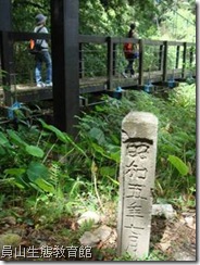 早年的遺跡 早年的遺跡