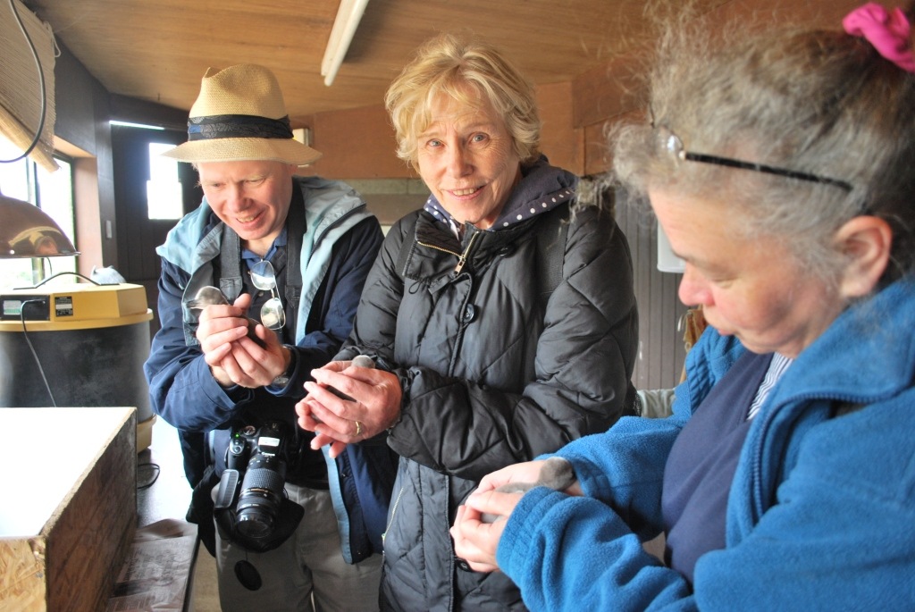 [DSC_0984%255B4%255D.jpg]