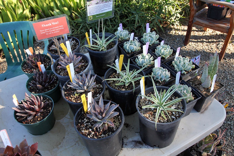 [120414_RBG_sale_table12.jpg]