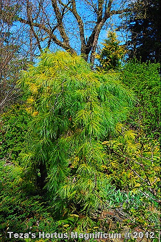 [DSC_0024%255B1%255D.jpg]