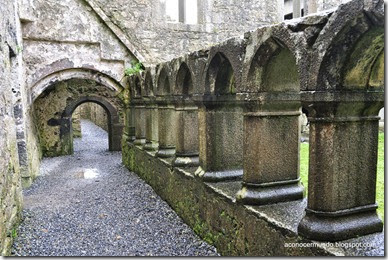 Connemara. Headford. Ruinas del convento Ross Errilly - DSC_0347