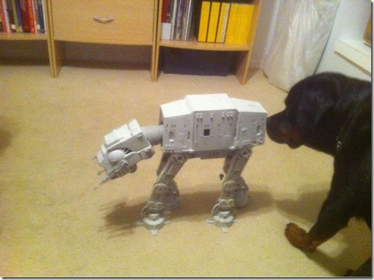 PUBLISHED by catsmob.com
