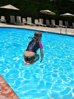 Dive In Dive In