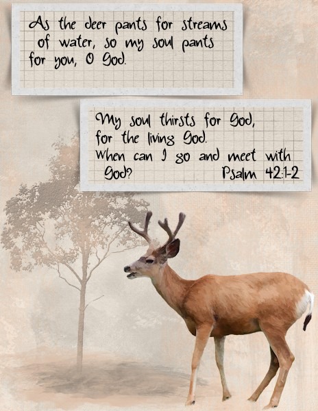 [As%2520the%2520dear-WEB%255B5%255D.jpg]