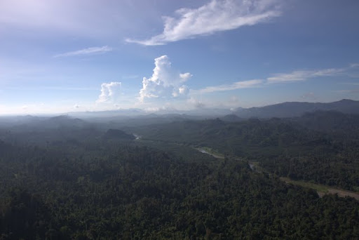 A beautiful view