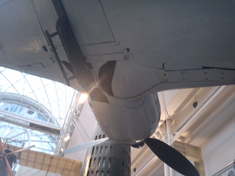 IMG_20120120_155555.jpg
