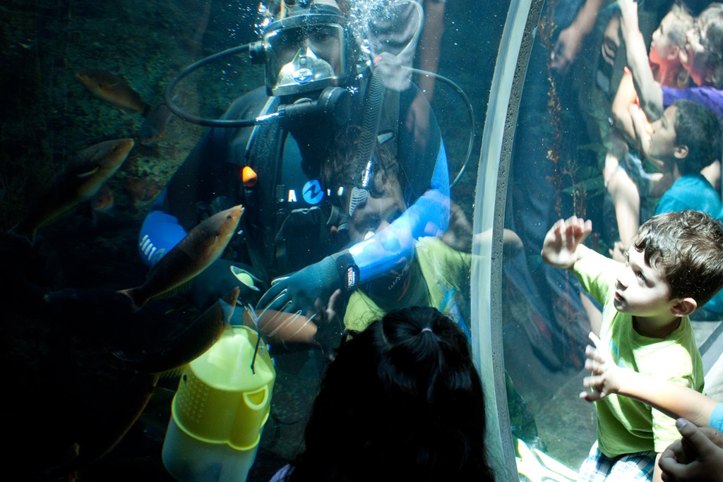 [20130621-IMG_13464.jpg]