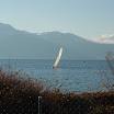 AIG_5954.JPG