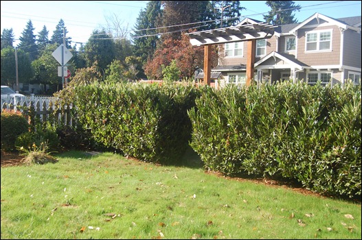 September 2011 206