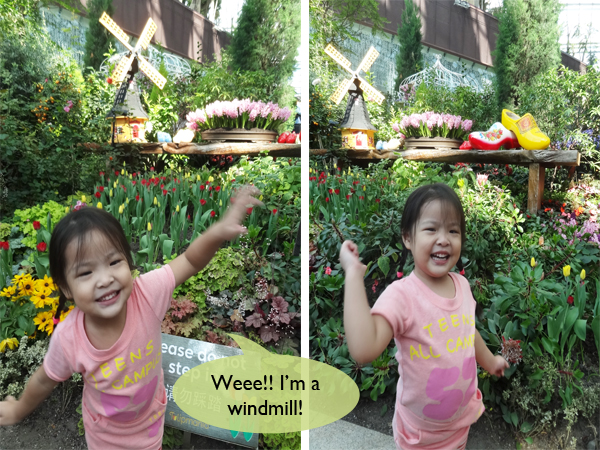 EV as windmill