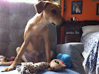 Jugando como rey en su sillón CAPITAN