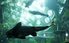 California Academy of Sciences, SF