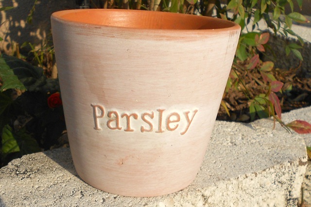 [DSCN1343-1%255B3%255D.jpg]