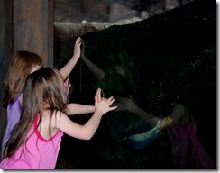 aliandsadi08012011-3