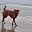 DSC_0172.jpg