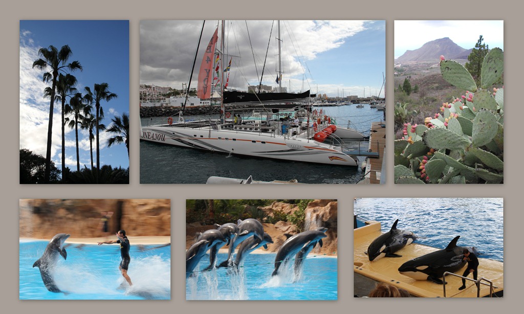 [2012-11-13-Tenerife15.jpg]