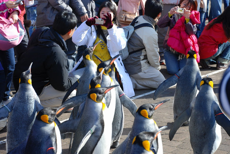 hokkaido_319.jpg