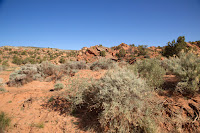 IMG_2318.JPG Photo