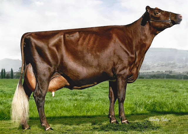 Storman Butler Jean.jpg