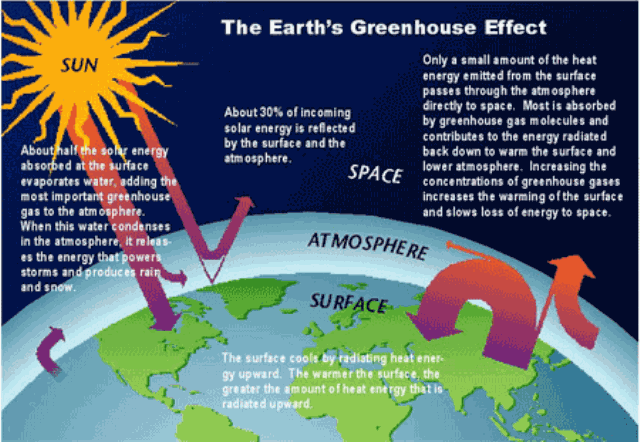 Examplesof Net Example Of Greenhouse Gases