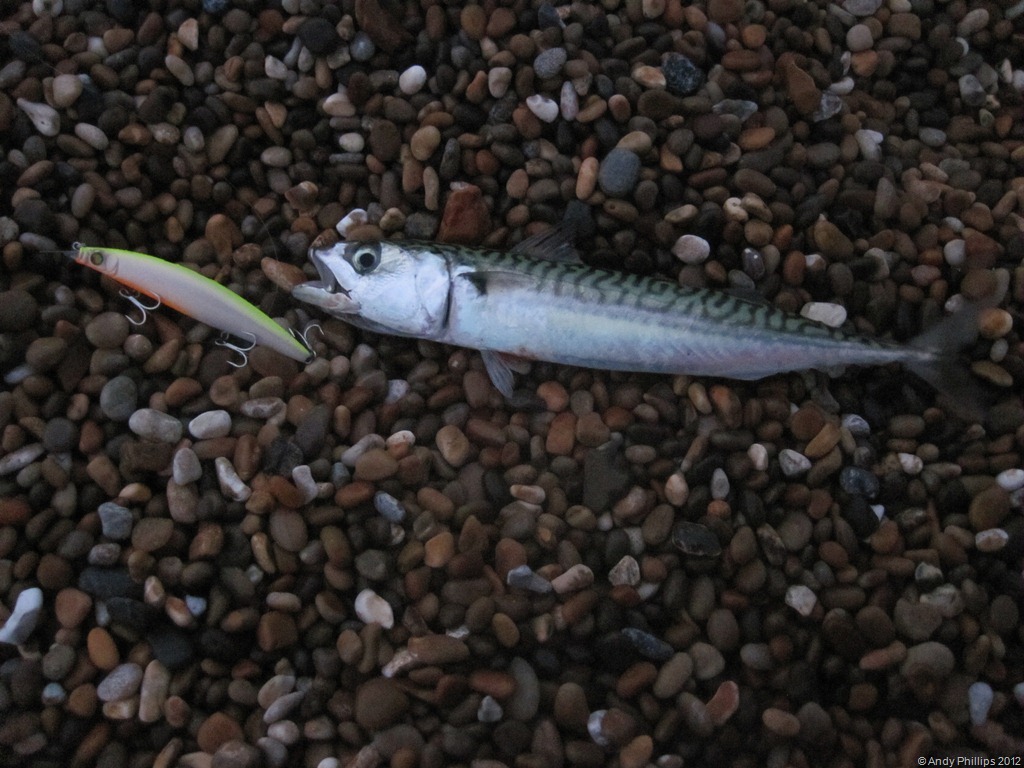 [IMG_1250%255B9%255D.jpg]