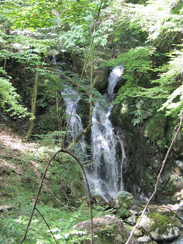 狒狒の滝