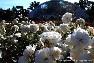 [DSC_0213%255B8%255D.jpg]