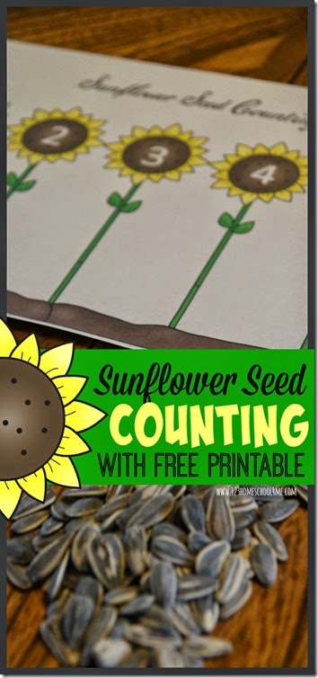 Sunflower Seed Counting Activity for Toddler and Preschool with FREE printable