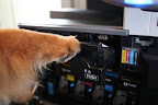 I'll just slide the new toner in.