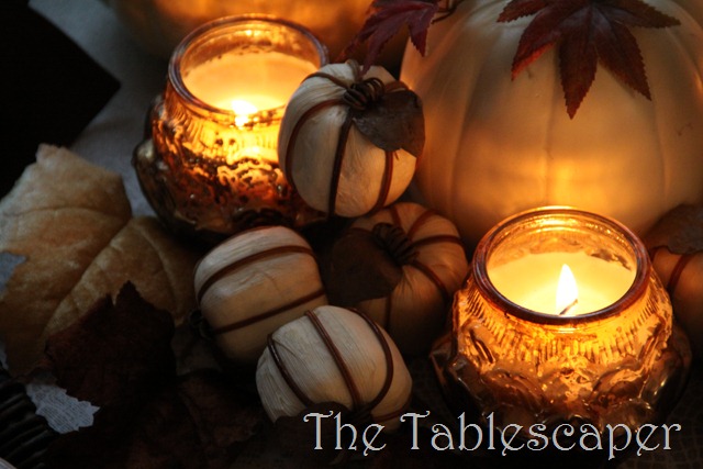 [Fall-0143.jpg]