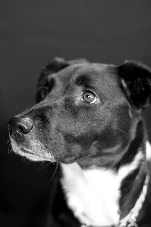 [_MG_1542BW%255B4%255D.jpg]