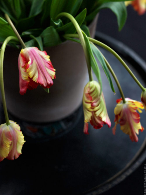 [ikea_floral_arrangement_idea%255B3%255D.png]