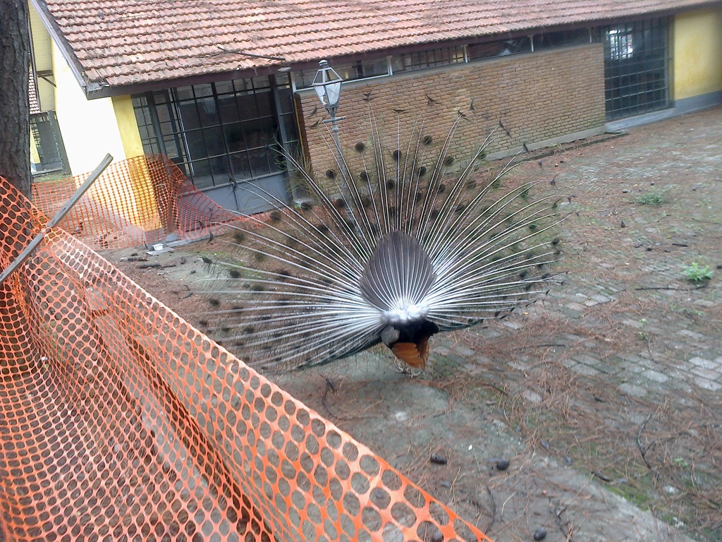 [10112012145%255B7%255D.jpg]
