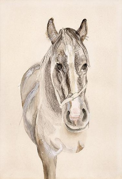 [Lucian%2520Freud%2520-%2520A%2520Filly%252C%25201969%255B5%255D.jpg]
