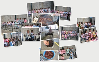 Ver Magusto 2012