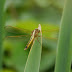 P1070417
