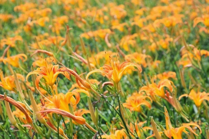2014_0818_102349 2014_0818_102349